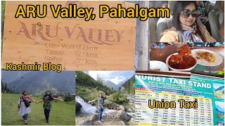 Ep-14: ARU Valley, Pahalgam | Union Taxi | Lidder River | Kashmir Blog