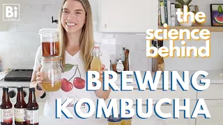 THE SCIENCE BEHIND KOMBUCHA [fermentation, symbiosis, and types of microbes; science of food]