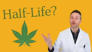 Understanding THC half-life and detection times