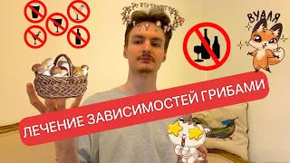 💊Лечение Зависимостей Грибами #зависимость #алкоголизм #табак