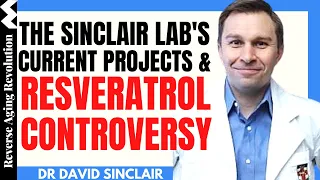 THE SINCLAIR LAB’s Current Projects & RESVERATROL Controversy | Dr David Sinclair Interview Clips