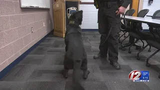 Police: K9 Officer Helped Save Girl's Life