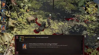 DOSII Act 3 - Killing the Shriekers located in front of the Elvin Temple using Vamparism