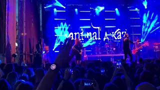 Animal Джаz — Если дышишь (live 25.07.2019)