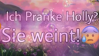 Ich pranke Holly?! Sie weint!