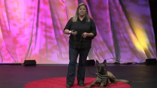 Using dogs in urban pest control | Deanna Kjorlien | TEDxMSJC