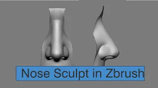 Nose Sculpting in Zbrush