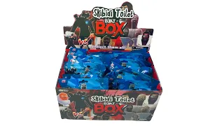 Really Cool Skibidi Toilet MYSTERY BOX!