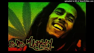 Natural Mystic (1977) - Bob Marley & The Wailers Rebassed (50Hz)