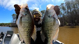 The Biggest Crappie You Will Ever See Pre-Spawn w/LiveScope Settings