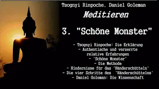 3. 'Schöne Monster' - Meditationsformen, Psychologie und Wissenschaft