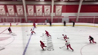 Red Wings go through drills during Day 2 of training camp