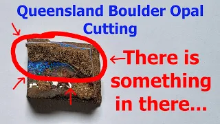 Whats Beneath The Mud? Queensland Boulder Opal Cutting (Nick Hoops Rough Boulder Opal)