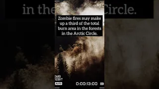 Zombie fire in arctic | zombie fire | #Shorts