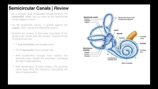 Benign Paroxysmal Positional Vertigo (BPPV) | Overview