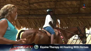 Equine Therapy At Healing With Horses