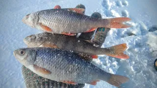 Зимняя рыбалка на мормышку в глухозимье 2021. Загрызли балансир.