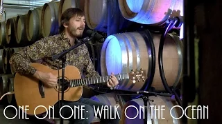 ONE ON ONE: Glen Phillips - Walk On The Ocean August 21st, 2016 City Winery New York