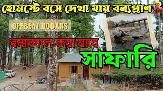 Dooars Trip শাল জঙ্গলের মাঝে এক নতুন Holong Bunglow.চা বাগানে Lunch.Burikhola Duars New Offbeat Spot