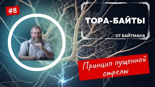 Тора-Байты от Байтмана |  Выпуск 8 | Принцип пущенной стрелы | Лекции Байтмана