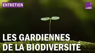 Biodiversité : entretien avec deux lanceuses d'alerte