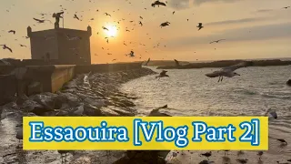 Mon voyage à Essaouira: Vlog partie 2