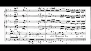 Sanfte soll mein Todeskummer (Easter Oratorio BWV 249 - J.S.Bach) Score Animation