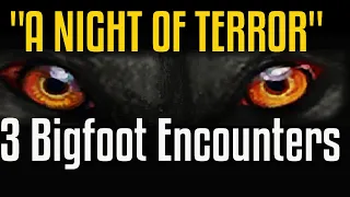 Bigfoot Encounters - A Night of Terror, School Bus Driver's Encounters & A Bigfoot Walks on By