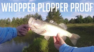 INSANE Whopper Plopper Action