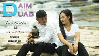 Cai Hawj/Maiv Xis Vaj - Daim Duab (Official MusicVideo)