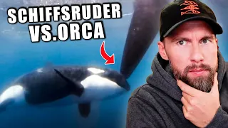 Die ersten Aufnahmen einer Orca-Attacke? Begegnung mit Orcas beim Ocean Race | Robert Marc Lehmann