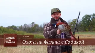 Охота на Фазана с Собакой [Шлях до Трофею №1]