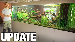 XXL Aquarium nach Einem Jahr! Entwicklung und Pflege