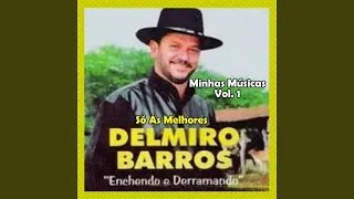 Enchendo e Derramando - DELMIRO BARROS