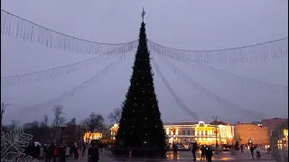 В Гродно зажгли аллею новогодних дизайнерских елок