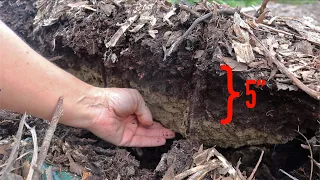 Does No-Till Gardening Work on Hard Ground? One Gardener Shares Her Failures and Successes