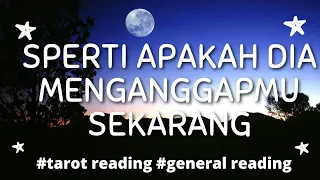 ❤️Seperti Apa Dia Menganggapmu Sekarang❤️Love Reading#tarotreading