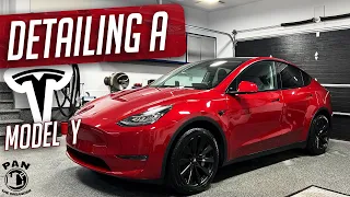 2022 Tesla Model Y Full Detail : Exterior Detailing