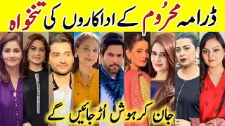 Mehroom Drama Cast Salary Episode54 55 56|Mehroom All Cast Salary|#Mehroom #HinaAltaf #JunaidKhan#sa