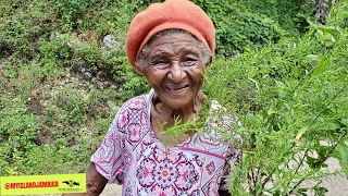 🔥 87 Year-Old GREAT GRANDMA Shares SHOCKING Testimonies Of Herbs  🇯🇲 #herbal #herbs