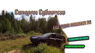 Синдром Субариста- еще один Forester SH