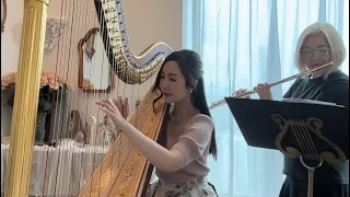 Beauty and the Beast - Harp & Flute Duet