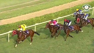 SINNER with Imran Chisty up wins The Ramkirpal Handicap 2023