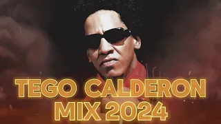 TEGO CALDERON MIX 2024 - REGGAETON VIEJO MIX - REGGAETON CLASICO MIX 2024.