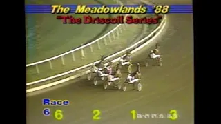1988 Meadowlands RUN THE TABLE John Campbell Driscoll Series