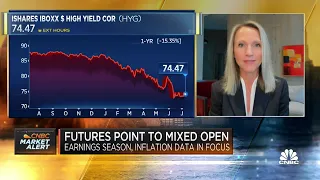 Bonds are good now for diversifying portfolio, says Sand Hill's Brenda Vingiello