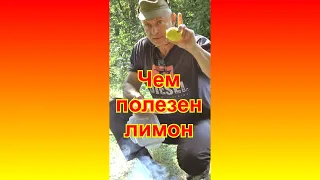 Чем полезен лимон. #Shorts