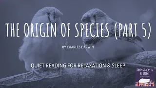 On the Origin of Species, by Charles Darwin – Part 5 | ASMR Quiet Reading for Relaxation & Sleep
