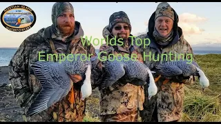 Worlds Best Emperor Goose hunting Guides