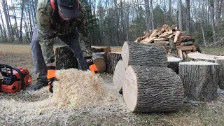 KNEE DEEP in NOODLES with "The RIPPER," Echo cs-620pw and the Stihl MS250!!!